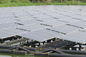 320W یکشنبه پنل خورشیدی ماهی پناه سیستم های انرژی خورشیدی مسکونی 3.2 میلی متر ضخیم شیشه ای